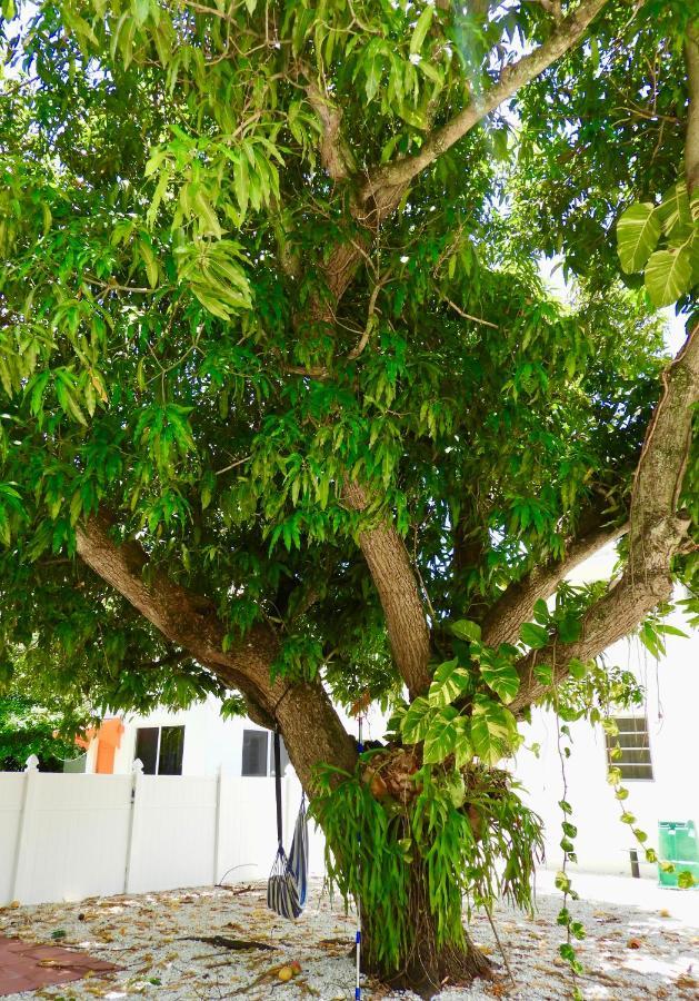 Enchanting Cozy Apartment 10 Min Away From Airport, Calle 8, Brickell, Coral Gables, The Beach And More! Miami Exterior foto